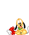 BOUDOIR (mâle beagle) 163348