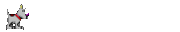 URKA (femelle croisée griffon nivernais) 4028260962