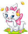 BABAR (chaton européen roux et blanc) 225921